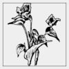 Full Color Transfer 7x7" Thumbnail