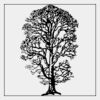 Full Color Transfer 7x7" Thumbnail